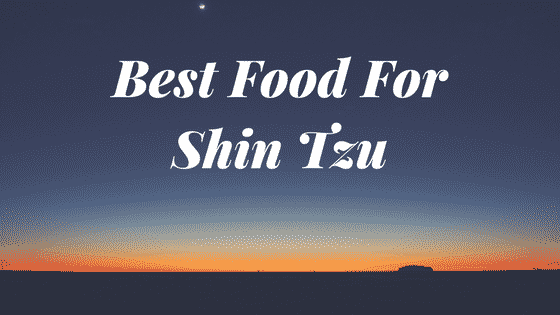 a sunset with the words best food for shin izu.