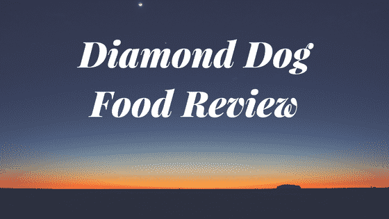 a picture of a sunset with the words diamond dog food review.