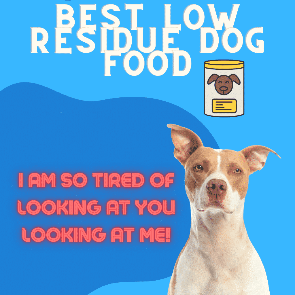 Best Low Residue Dog Food